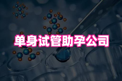 国际助孕网站 2
