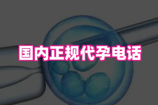 国际助孕网站 4